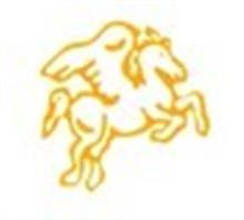 濟南天馬機器聯系方式