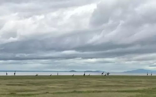 天馬行空的野奢酒店之旅,顛覆你對非洲的所有想象