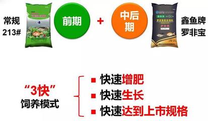 農(nóng)戶增產(chǎn)豐收的好幫手!--天馬科技"鑫魚牌"羅非寶!
