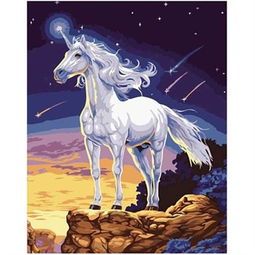 悠趣 數(shù)字油畫(huà) diy手繪裝飾畫(huà)彩繪數(shù)碼數(shù)字畫(huà)天馬行空 40 50cm怎么樣,好不好