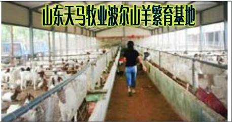 【現在搞什么冷門工廠賺錢?】價格、產品供應,現在搞什么冷門工廠賺錢?廠家批發-1024商務網