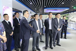 工信部副部長王志軍一行蒞臨天馬調研指導