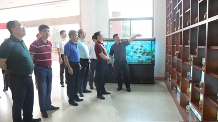 湖北省咸寧市嘉魚縣王永縣長、縣人大常委會李新華主任一行蒞臨天馬科技集團考察調研