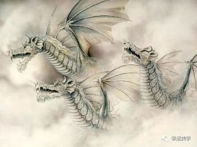 汗血寶馬的獨特跑姿與天馬傳說