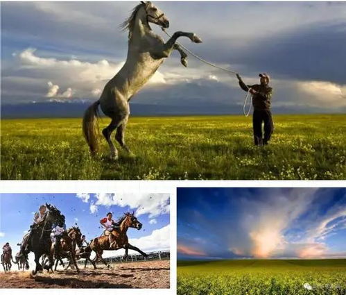 2020中國(guó)新疆伊犁天馬國(guó)際旅游節(jié)線上“云游昭蘇”即將啟幕